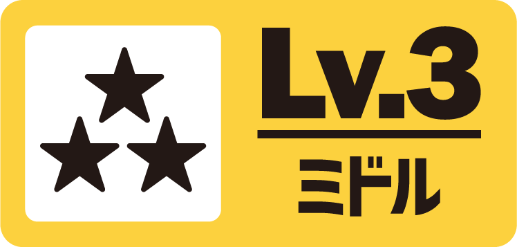 Lv.3 ミドル
