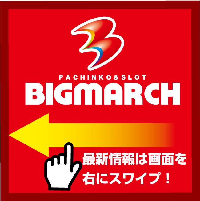 ビックマーチ西川田店の店舗画像
